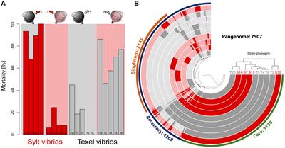 Molecular Targets for Coevolutionary Interactions Between Pacific Oyster Larvae and Their Sympatric Vibrios